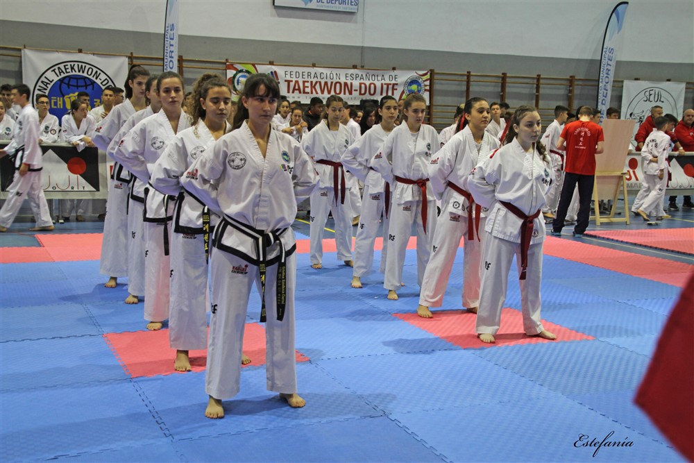 Copa Seul 2018 (312).jpg